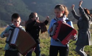 Concertina