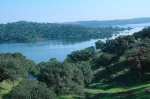 Grande Lago - Alqueva