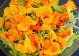 Flor