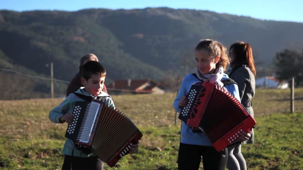 Concertina