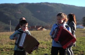 Concertina