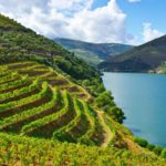 port-douro-xlarge