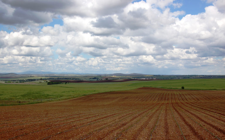 No alto de Avis, campos de Alentejo à mercê de um olhar e de uma reflexão…