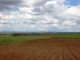 No alto de Avis, campos de Alentejo à mercê de um olhar e de uma reflexão…
