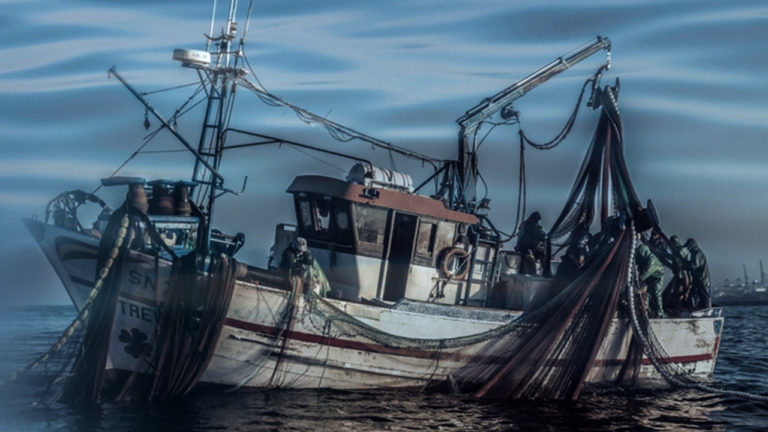 “Mar de Sines” – Espreite o documentário que estreia a 24