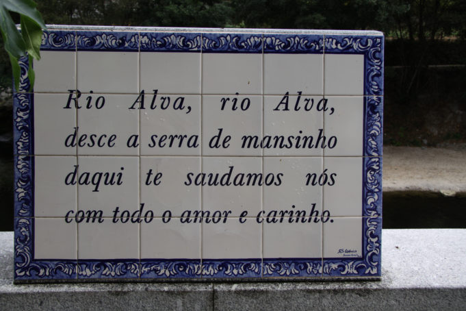 Um banho de sol, numa varanda com vistas do Açor!