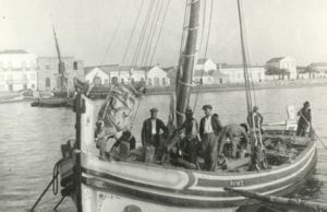 Leão à solta no Tejo! Para mostrar rio e margens…