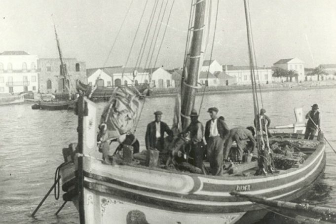 Leão à solta no Tejo! Para mostrar rio e margens…