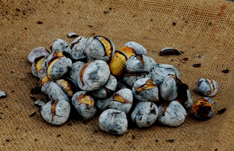 Gosta de castanhas? Tantos modos de as confeccionar e comer…