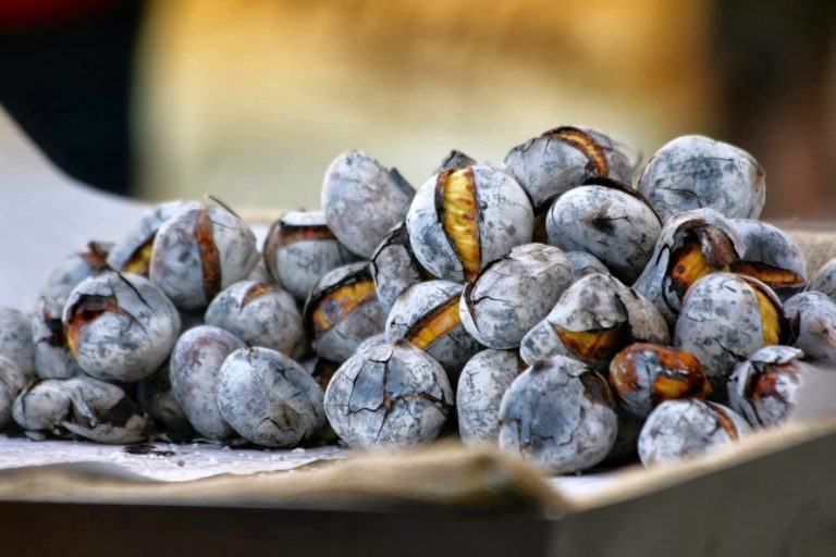 Pelo São Martinho, castanhas assadas, pão e vinho…