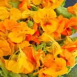 flor de comer