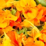 flor de comer