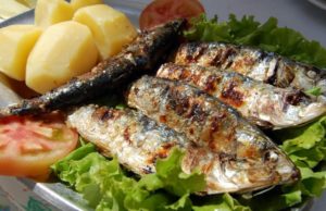 O melhor peixe do mundo