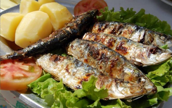 O melhor peixe do mundo