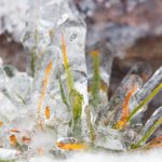 Gelo e neve no Gerês