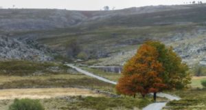 Serra da Freita