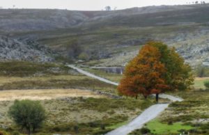 Serra da Freita