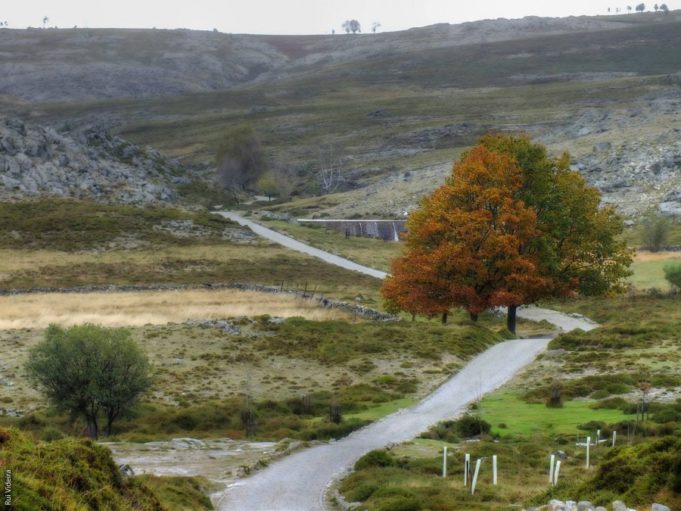 Serra da Freita: a montanha onde as pedras têm filhos Serra da Freita