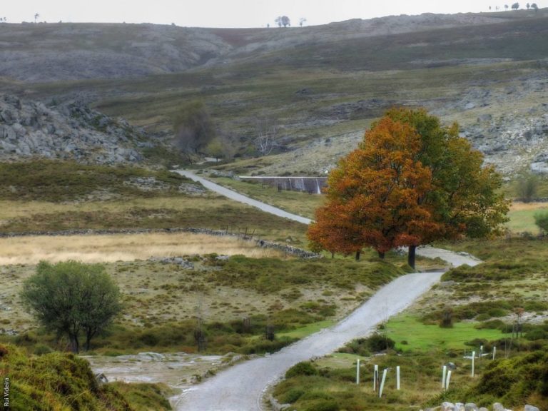Serra da Freita