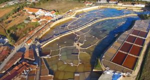 Salinas de Rio Maior