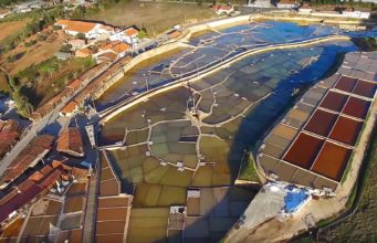 Salinas de Rio Maior