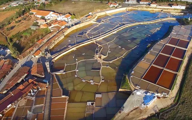 Salinas de Rio Maior