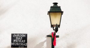 Jardim das Pichas Murchas