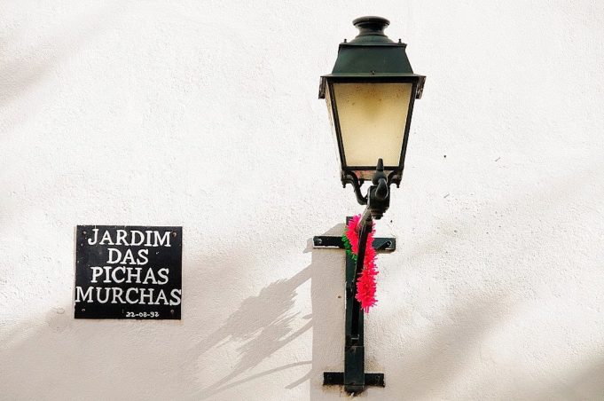Jardim das Pichas Murchas