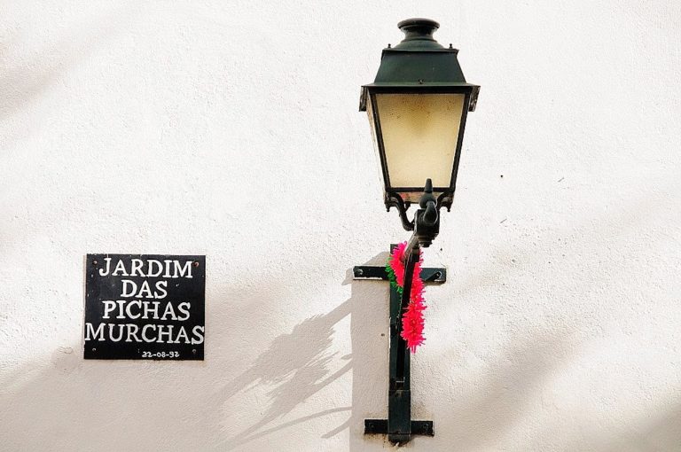Jardim das Pichas Murchas