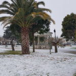 image (2)
