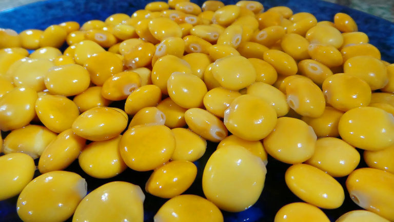 TREMOÇOS: 5 deliciosos petiscos para este Verão