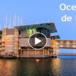 Oceanário