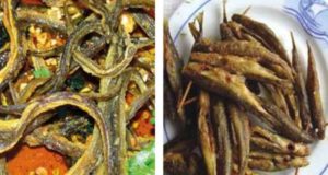 Peixe e enguias - Baixo Mondego