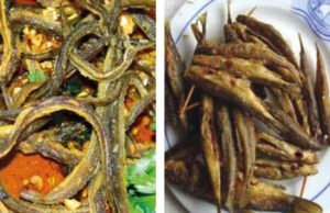 Peixe e enguias - Baixo Mondego