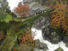 Ponte da Misarela