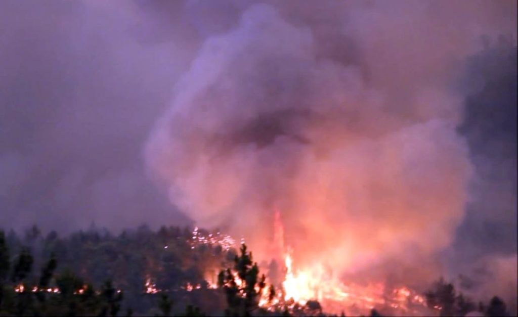 Incêndio Florestal
