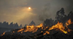 Incêndio Florestal