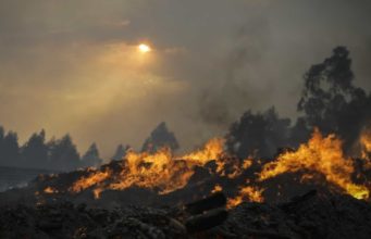 Incêndio Florestal