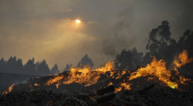 Incêndio Florestal